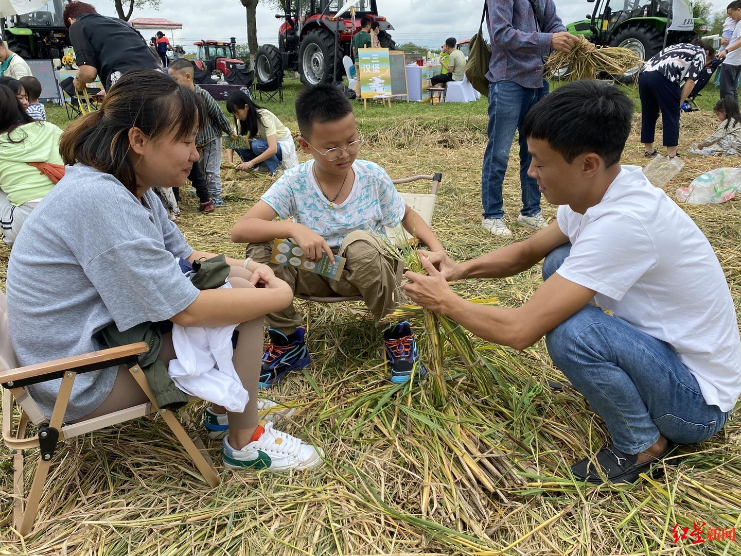 策劃休閑農(nóng)業(yè)生態(tài)活動案例_策劃休閑農(nóng)業(yè)生態(tài)活動的意義_生態(tài)農(nóng)業(yè)休閑活動策劃