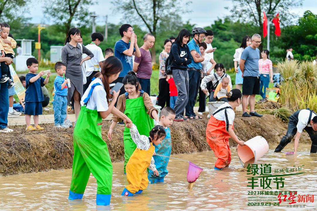 策劃休閑農(nóng)業(yè)生態(tài)活動案例_生態(tài)農(nóng)業(yè)休閑活動策劃_策劃休閑農(nóng)業(yè)生態(tài)活動的意義