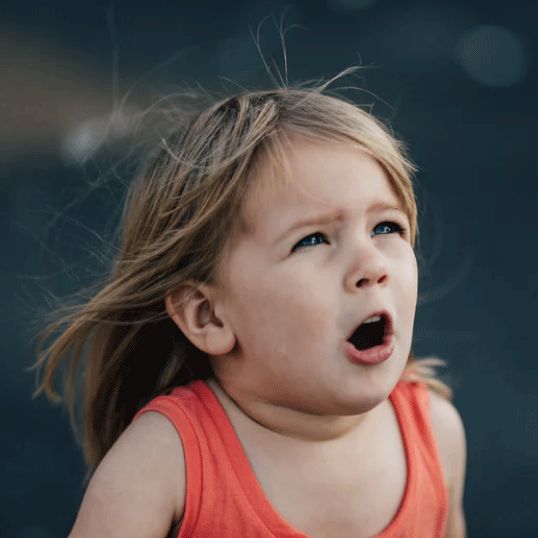 （營銷策劃社）十二項權(quán)益概括枝子權(quán)益