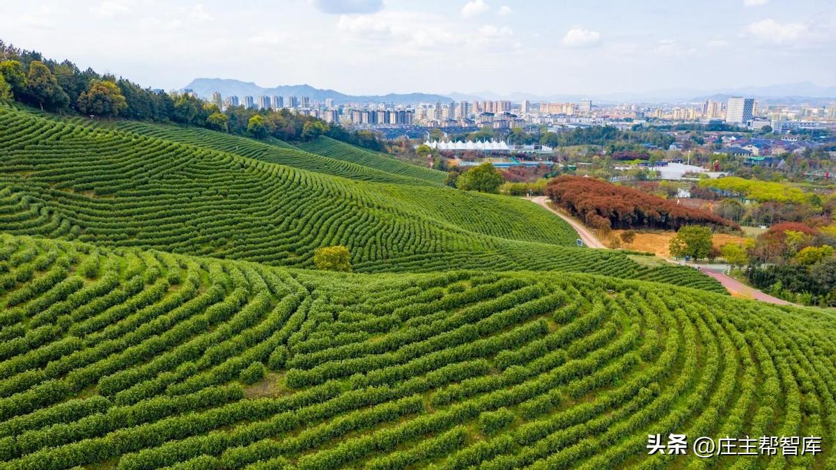 農(nóng)村文化活動策劃_策劃農(nóng)村文化活動的目的_農(nóng)村文化活動方案