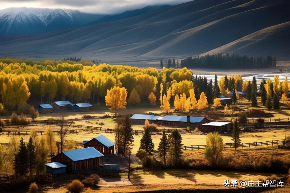 策劃農(nóng)村文化活動的目的_農(nóng)村文化活動策劃_農(nóng)村文化活動方案