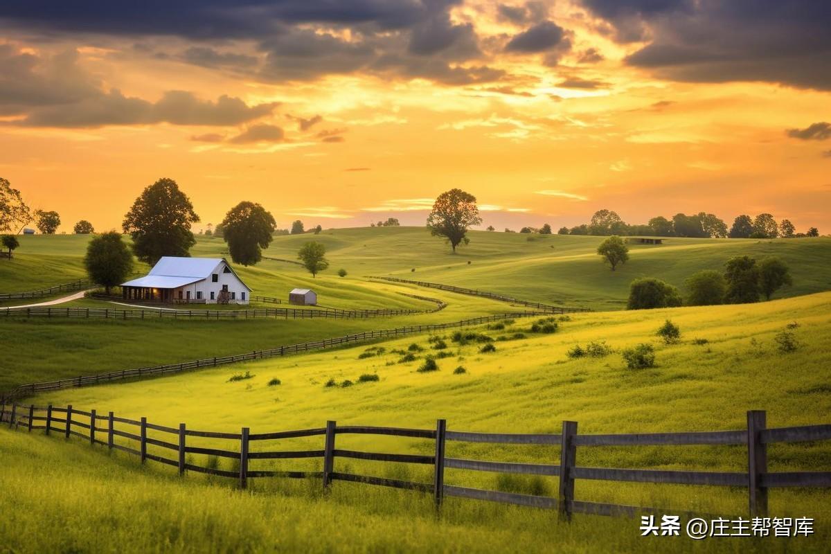 農(nóng)村文化活動策劃_策劃農(nóng)村文化活動的目的_農(nóng)村文化活動方案