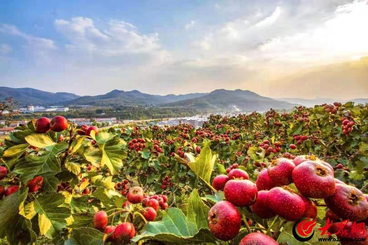 農村文化活動策劃_農村文化活動主題_策劃農村文化活動的意義