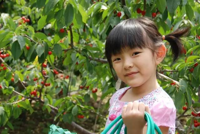 餐飲六一兒童節(jié)活動策劃_餐飲行業(yè)六一兒童節(jié)活動策劃_六一策劃餐飲兒童節(jié)活動方案