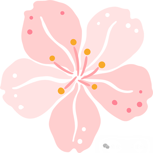 策劃方案藝術(shù)活動怎么寫_藝術(shù)活動策劃方案_策劃方案藝術(shù)活動怎么做