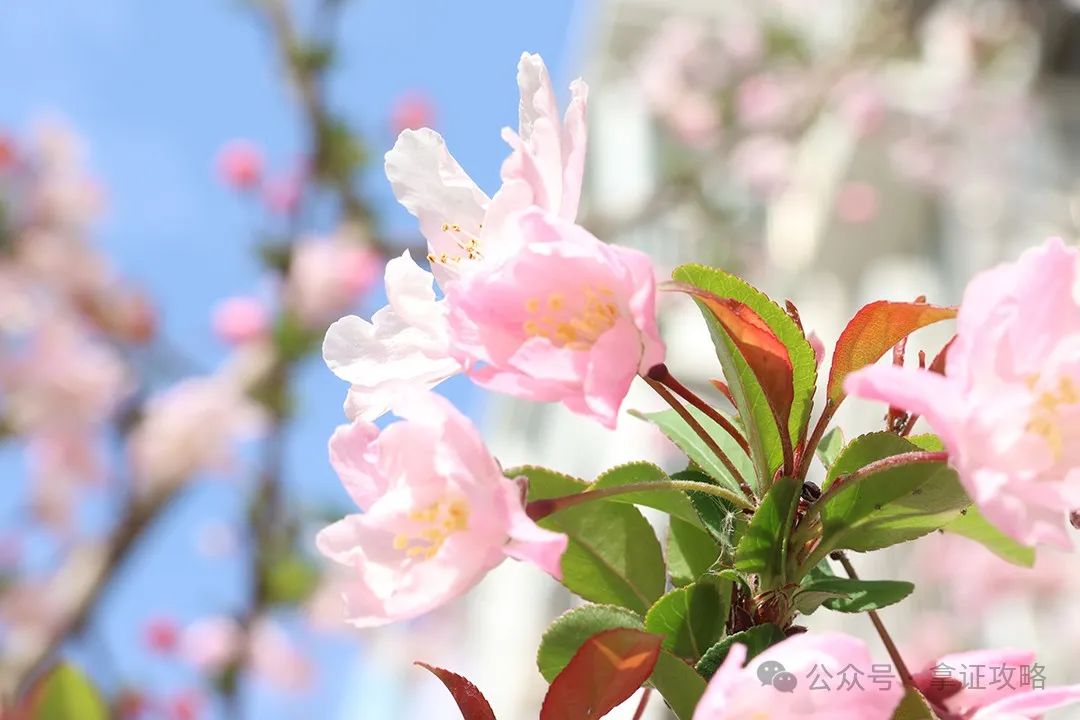 藝術(shù)活動策劃方案_策劃方案藝術(shù)活動怎么寫_策劃方案藝術(shù)活動怎么做