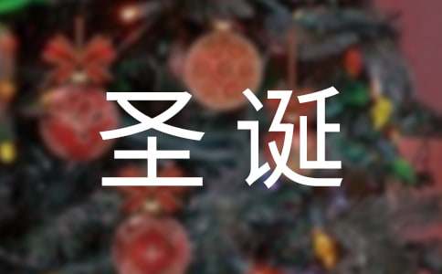 （圣誕節(jié)活動(dòng)策劃書篇）圣誕狂歡,你的舞臺(tái)