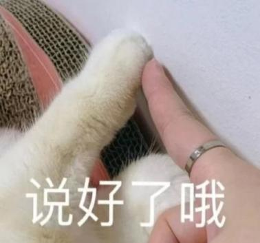 暑期三下鄉(xiāng)活動(dòng)策劃書_下鄉(xiāng)策劃書暑期活動(dòng)內(nèi)容_下鄉(xiāng)活動(dòng)策劃案