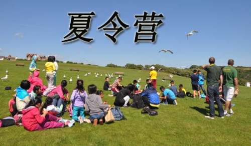 如何撰寫成功的活動方案？這里有 10 篇精選案例供你參考