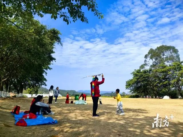 叱石第一屆風(fēng)箏文化節(jié)1月29日開幕，持續(xù)半月邀民共享春光