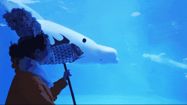 酒店情人節(jié)活動(dòng)策劃_成都商場(chǎng)情人節(jié)活動(dòng)_成都情人節(jié)酒店套餐