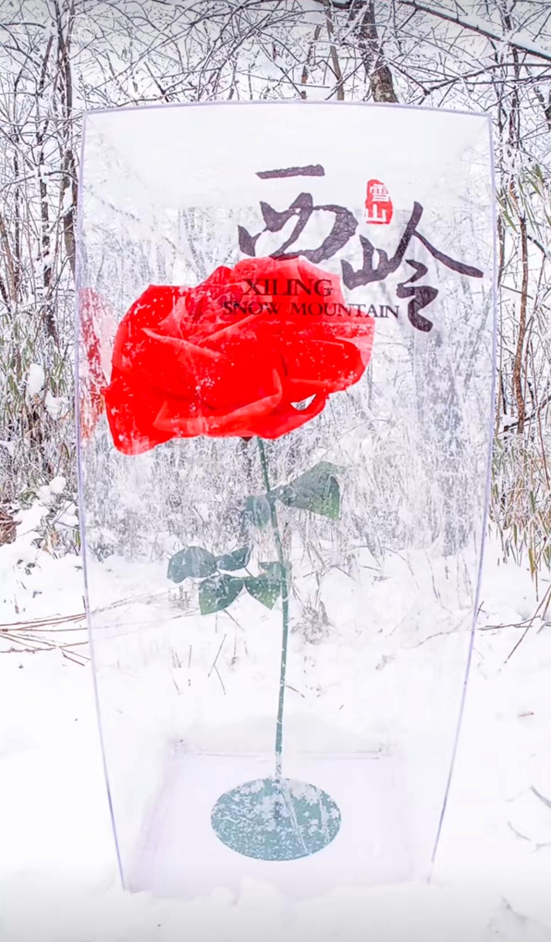 成都情人節(jié)酒店套餐_成都商場(chǎng)情人節(jié)活動(dòng)_酒店情人節(jié)活動(dòng)策劃