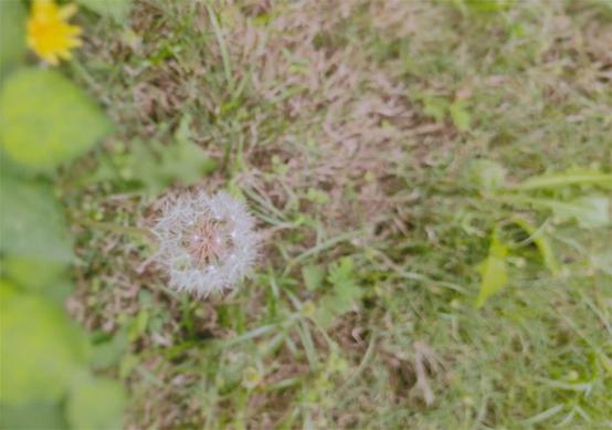 寫(xiě)出打動(dòng)用戶(hù)的文案_活動(dòng)文案教學(xué)_文案創(chuàng)作中的場(chǎng)景感知